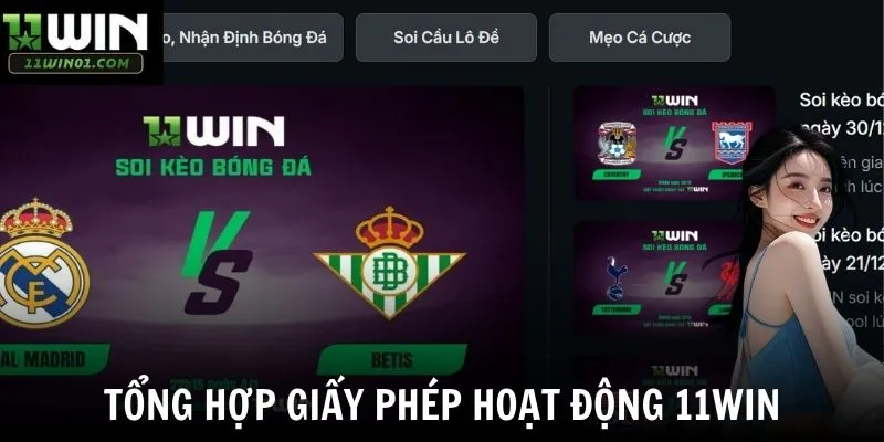 Tổng hợp giấy phép hoạt động 11win